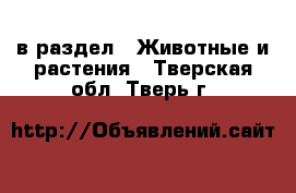  в раздел : Животные и растения . Тверская обл.,Тверь г.